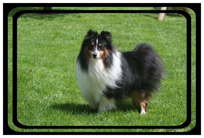 Blackwell bilbo du Lorecé